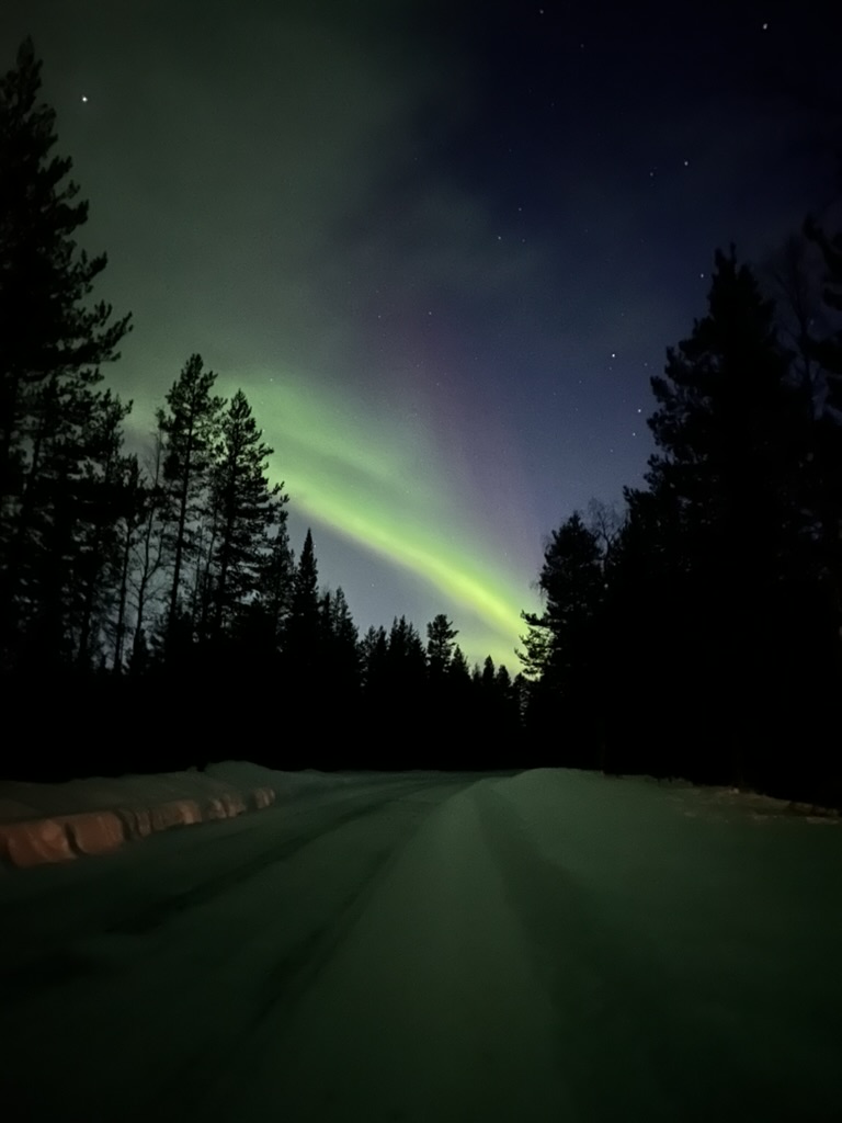 Noorderlicht-safari Lapland | Aurora Borealis Avontuur