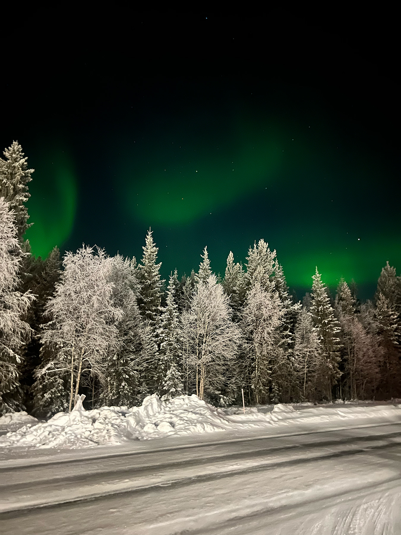 Noorderlicht Safari 04.jpeg