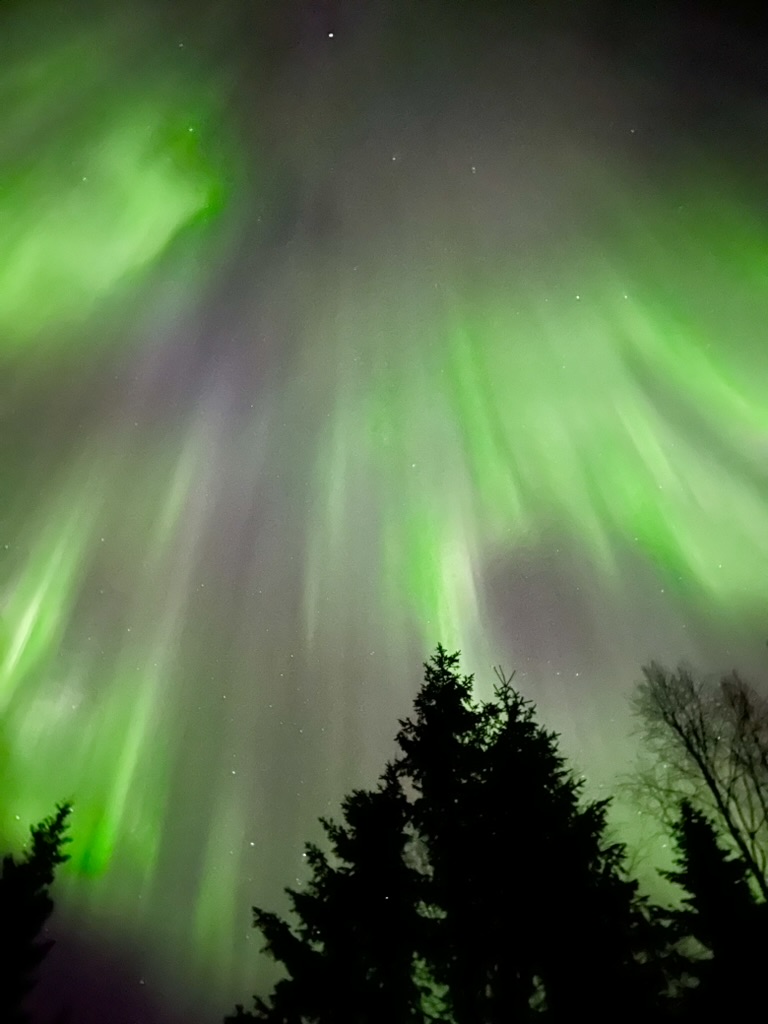 Noorderlicht Safari 05