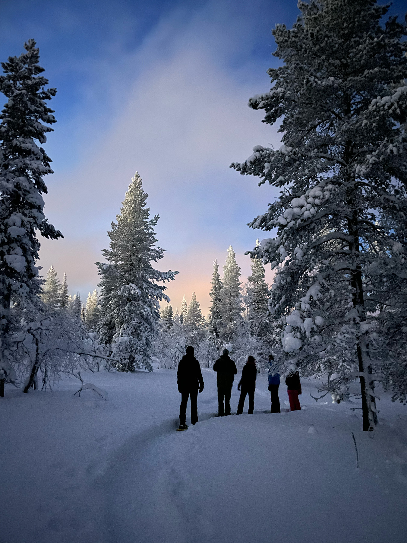 Sneeuwschoenwandeling 01