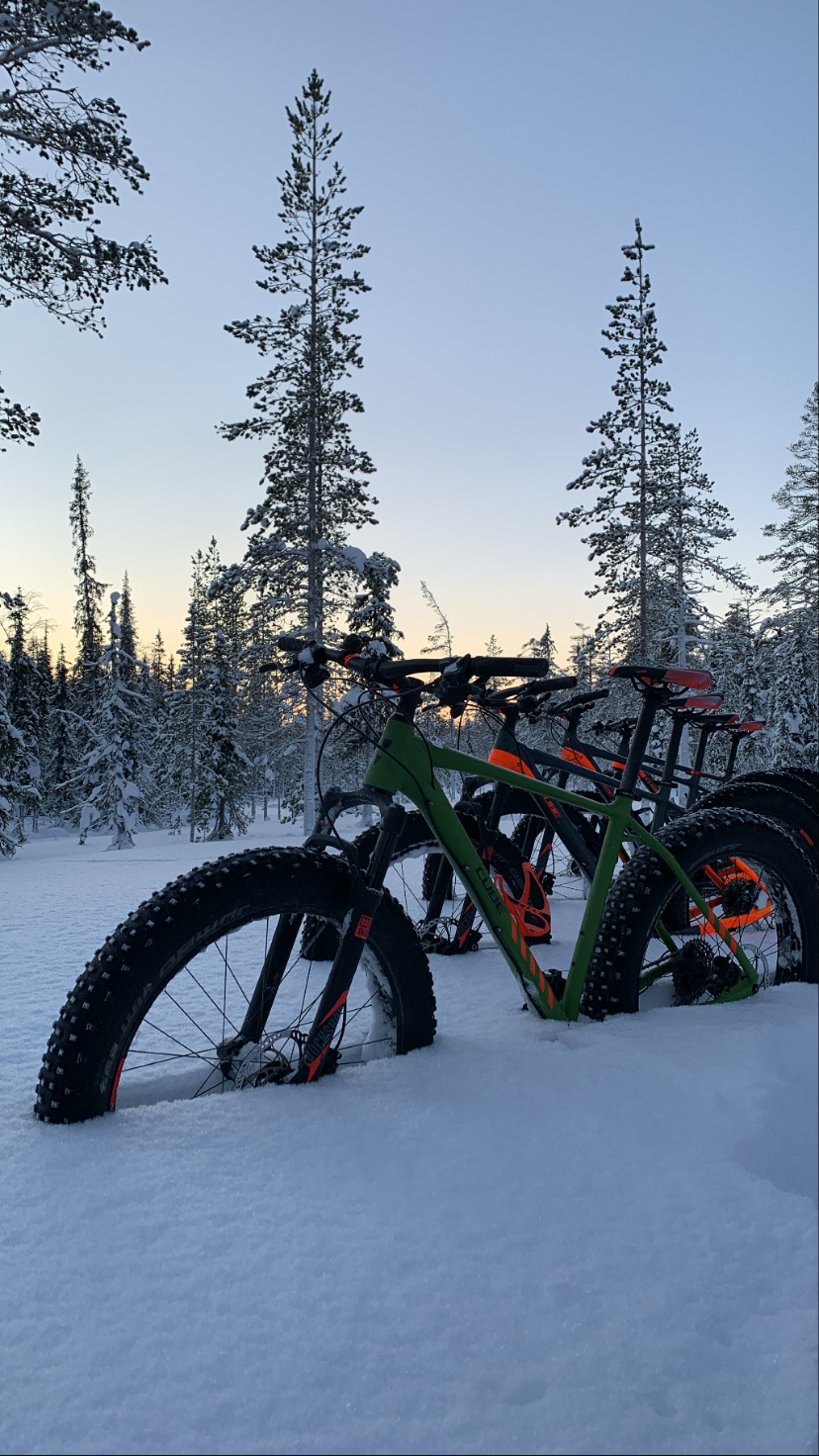 foto fatbikes