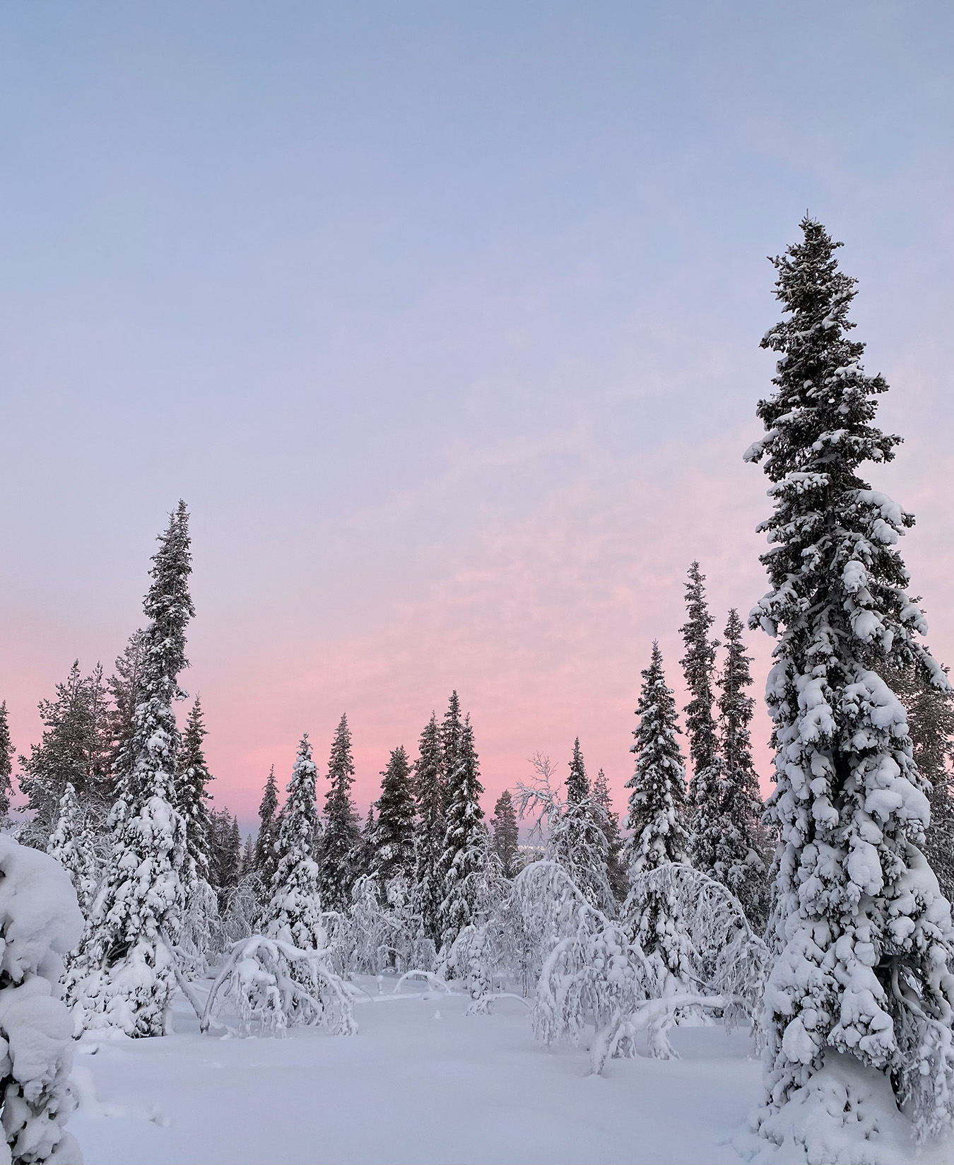 sneeuwschoenwandeling 06