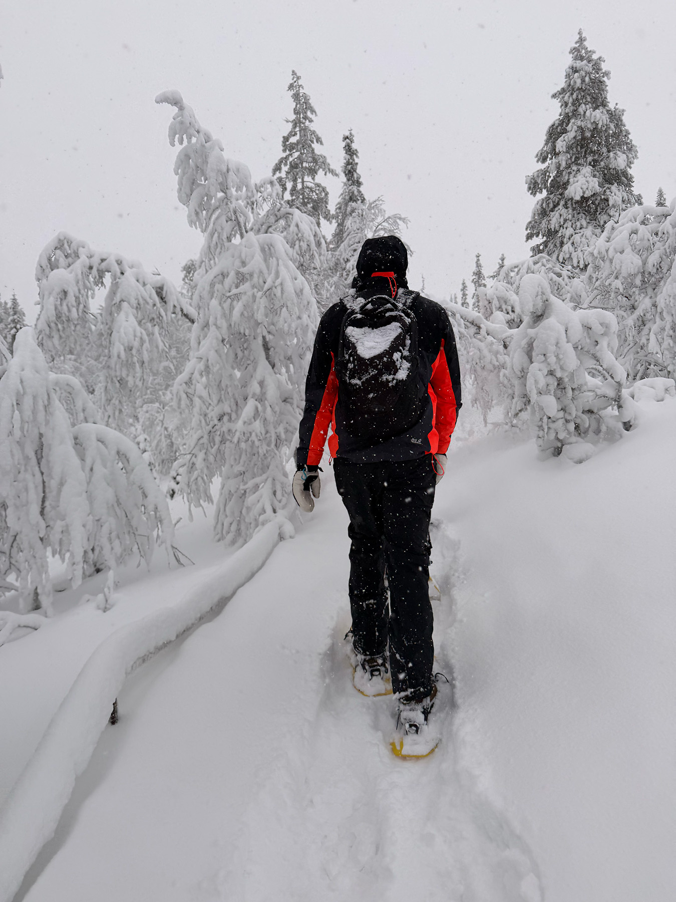 Sneeuwschoenwandeling 01